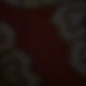 Meet your Posher, Kyra